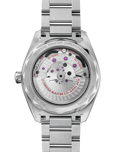 OMEGA SEAMASTER AQUA TERRA 150M 41 mm